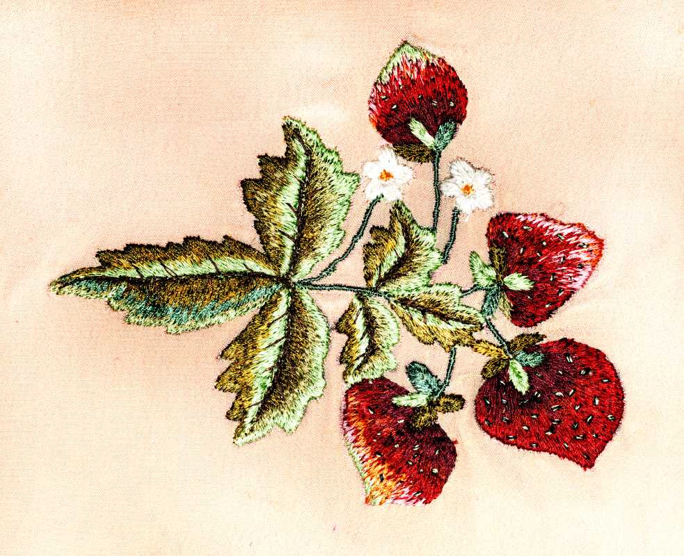 The Ultimate Guide to Embroidered Patches